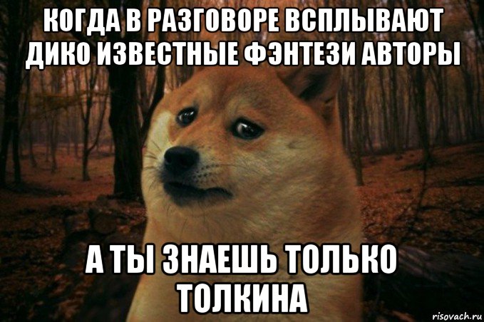 когда в разговоре всплывают дико известные фэнтези авторы а ты знаешь только толкина, Мем SAD DOGE