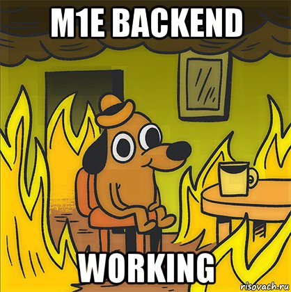 m1e backend working, Мем Собака в огне