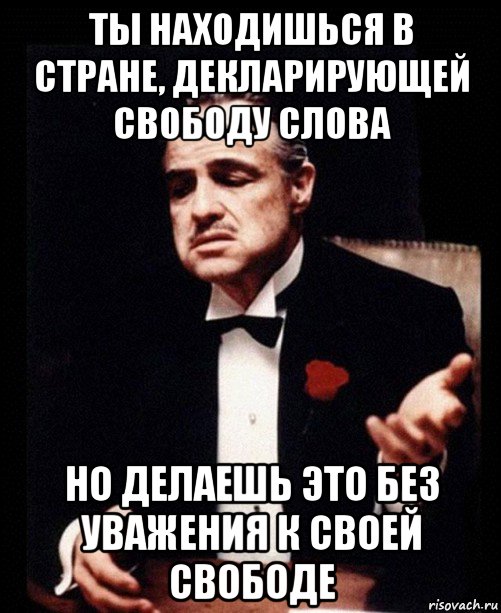 ты находишься в стране, декларирующей свободу слова но делаешь это без уважения к своей свободе, Мем ты делаешь это без уважения