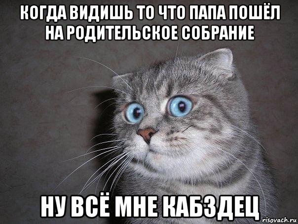 когда видишь то что папа пошёл на родительское собрание ну всё мне кабздец, Мем  удивлённый кот