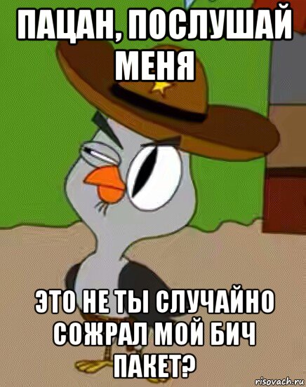 пацан, послушай меня это не ты случайно сожрал мой бич пакет?, Мем    Упоротая сова