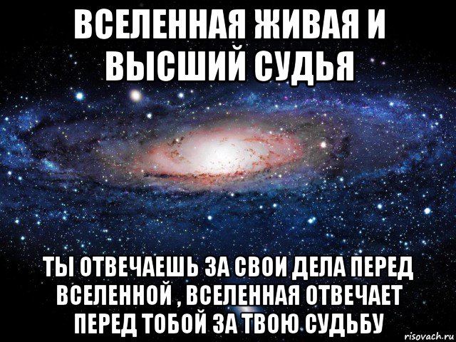 вселенная живая и высший судья ты отвечаешь за свои дела перед вселенной , вселенная отвечает перед тобой за твою судьбу