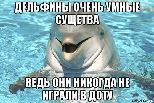 дельфины очень умные сущетва ведь они никогда не играли в доту