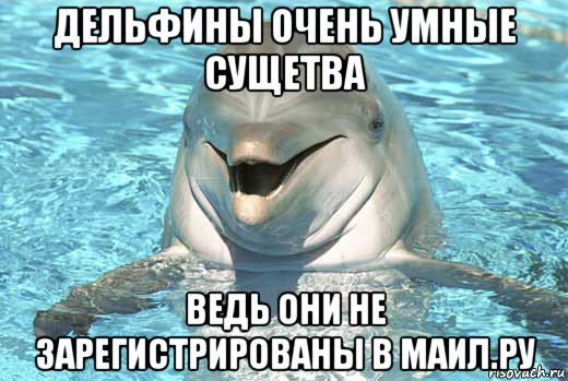дельфины очень умные сущетва ведь они не зарегистрированы в маил.ру