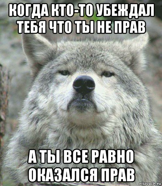 когда кто-то убеждал тебя что ты не прав а ты все равно оказался прав, Мем    Гордый волк