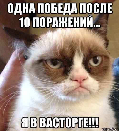 одна победа после 10 поражений... я в васторге!!!, Мем Грустный (сварливый) кот