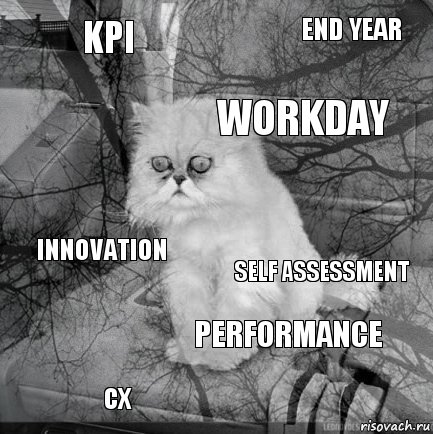 KPI Self Assessment Workday CX Innovation end year performance   