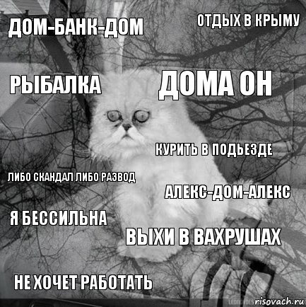 Дом-банк-дом Алекс-дом-алекс Дома он Не хочет работать Либо скандал либо развод Отдых в крыму Выхи в вахрушах Рыбалка Я бессильна Курить в подьезде, Комикс  кот безысходность