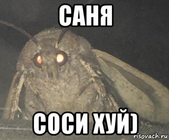 саня соси хуй)