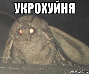 укрохуйня 