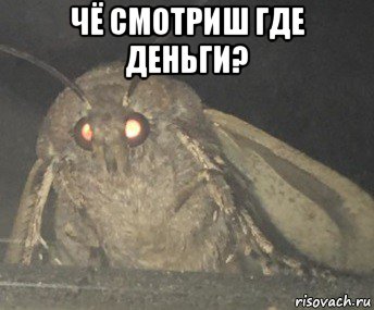 чё смотриш где деньги? , Мем Матылёк