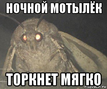 Ты мой ночной мотылек