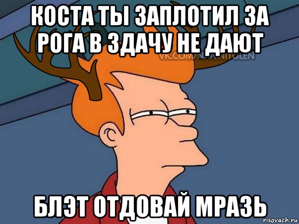 коста ты заплотил за рога в здачу не дают блэт отдовай мразь, Мем  Подозрительный олень