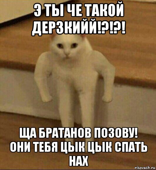 э ты че такой дерзкийй!?!?! ща братанов позову! они тебя цык цык спать нах, Мем  Полукот