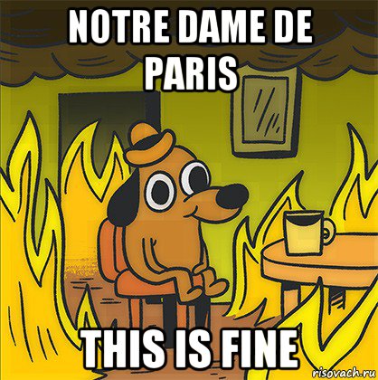 notre dame de paris this is fine, Мем Собака в огне