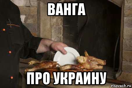 Царь бiмба. Украинская Бимба свинья. Украинский