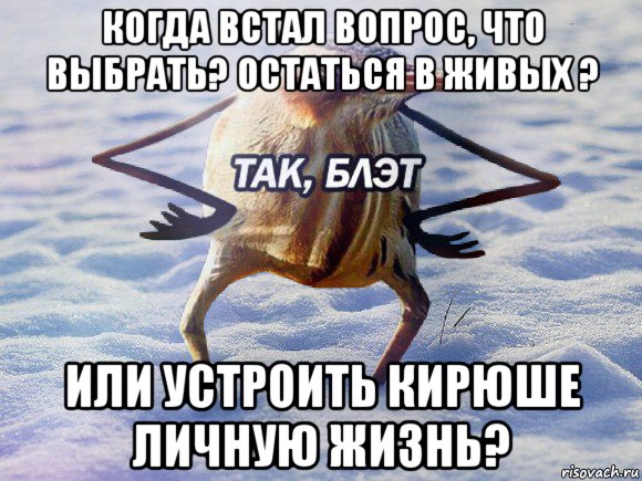 когда встал вопрос, что выбрать? остаться в живых ? или устроить кирюше личную жизнь?, Мем  Так блэт птица с руками