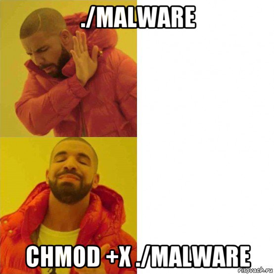 ./malware chmod +x ./malware, Комикс Тимати да нет