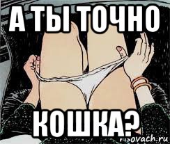 а ты точно кошка?, Мем Трусы снимает