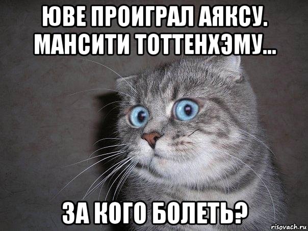 юве проиграл аяксу. мансити тоттенхэму... за кого болеть?, Мем  удивлённый кот