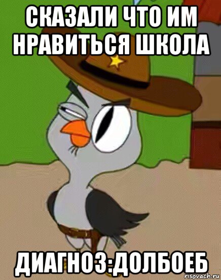 сказали что им нравиться школа диагноз:долбоеб, Мем    Упоротая сова