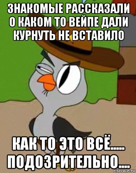 знакомые рассказали о каком то вейпе дали курнуть не вставило как то это всё..... подозрительно...., Мем    Упоротая сова