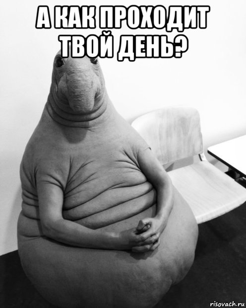 а как проходит твой день? , Мем  Ждун