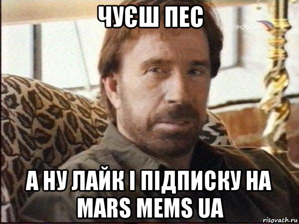 чуєш пес а ну лайк і підписку на mars mems ua, Мем чак норрис