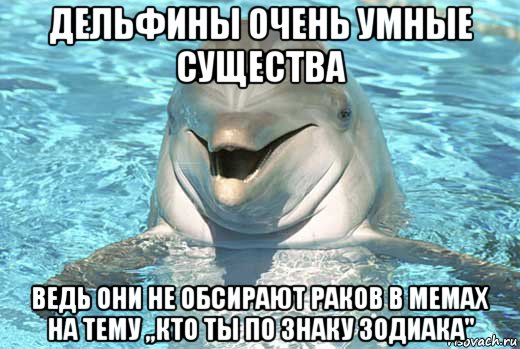 дельфины очень умные существа ведь они не обсирают раков в мемах на тему ,,кто ты по знаку зодиака"