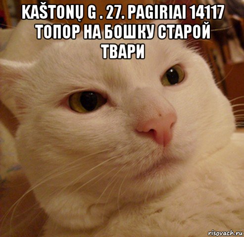 kaštonų g . 27. pagiriai 14117 топор на бошку старой твари , Мем Дерзкий котэ