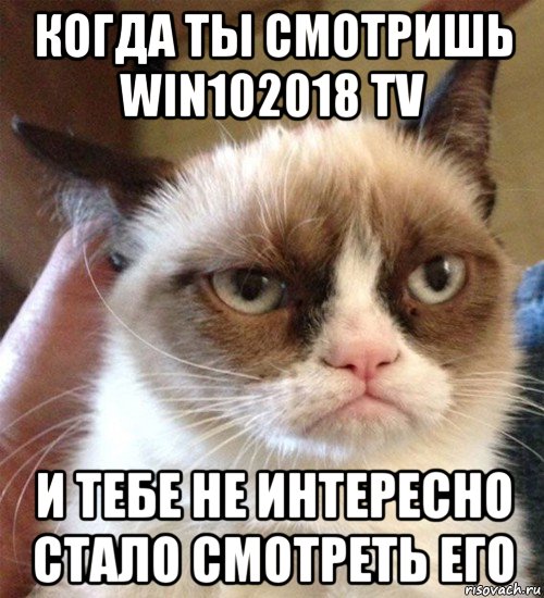 когда ты смотришь win102018 tv и тебе не интересно стало смотреть его, Мем Грустный (сварливый) кот