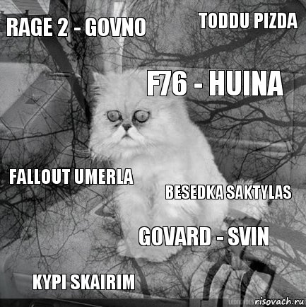 RAGE 2 - GOVNO Besedka Saktylas F76 - Huina Kypi Skairim Fallout Umerla Toddu Pizda Govard - svin   , Комикс  кот безысходность