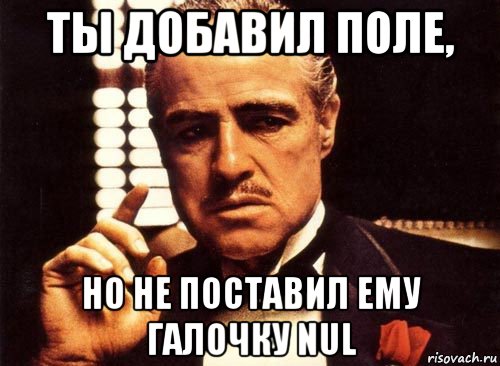 ты добавил поле, но не поставил ему галочку nul, Мем крестный отец