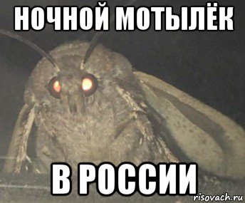 Ты мой ночной мотылек летаешь