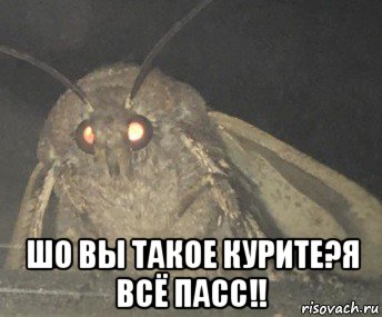  шо вы такое курите?я всё пасс!!