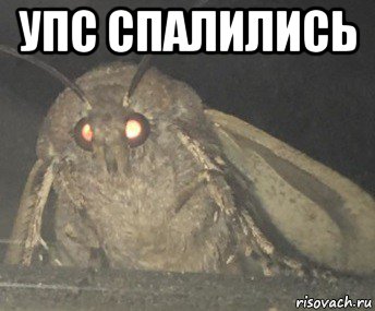 упс спалились 