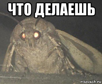 что делаешь 