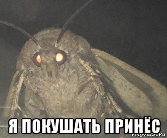  я покушать принёс