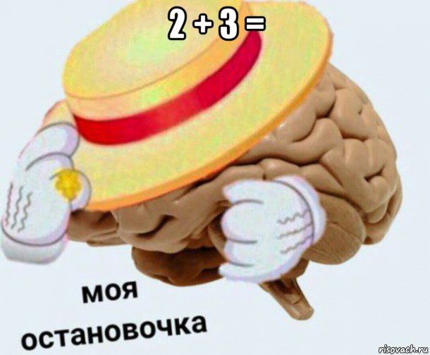2 + 3 = , Мем   Моя остановочка мозг