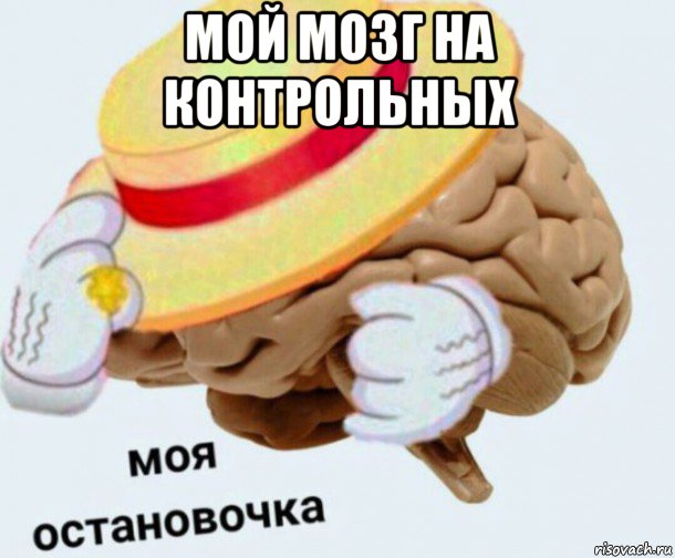 мой мозг на контрольных , Мем   Моя остановочка мозг