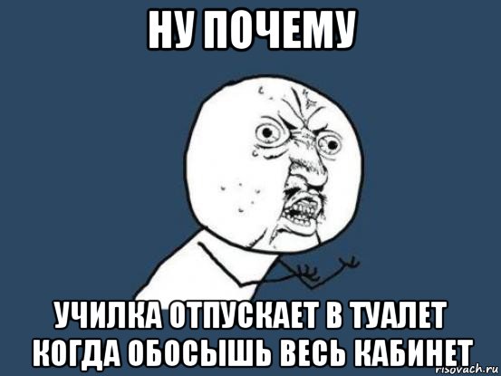 ну почему училка отпускает в туалет когда обосышь весь кабинет, Мем Ну почему