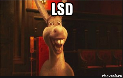 lsd , Мем Осел из Шрека