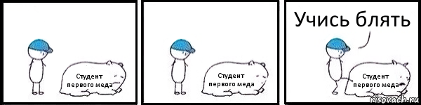 Студент первого меда Студент первого меда Студент первого меда Учись блять, Комикс   Работай