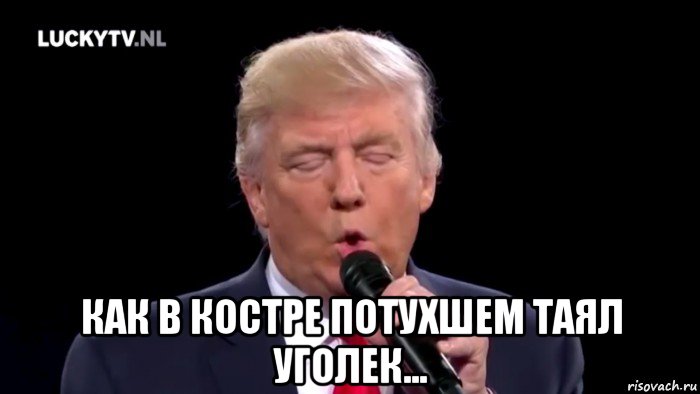 Трамп Мем. Уголек Мем. Трамп мемы розовая шапка.