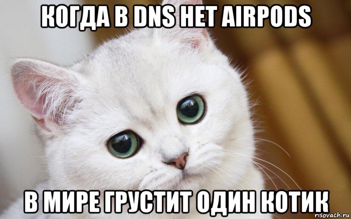 когда в dns нет airpods в мире грустит один котик