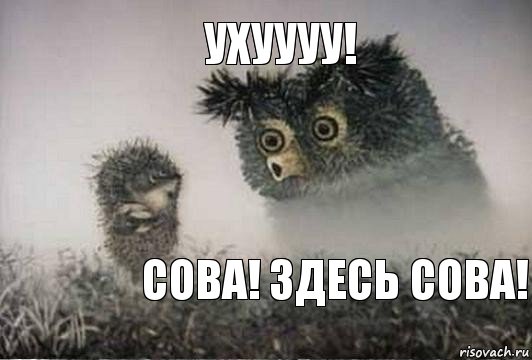 Ухуууу! Сова! Здесь сова!, Комикс Я те говорю