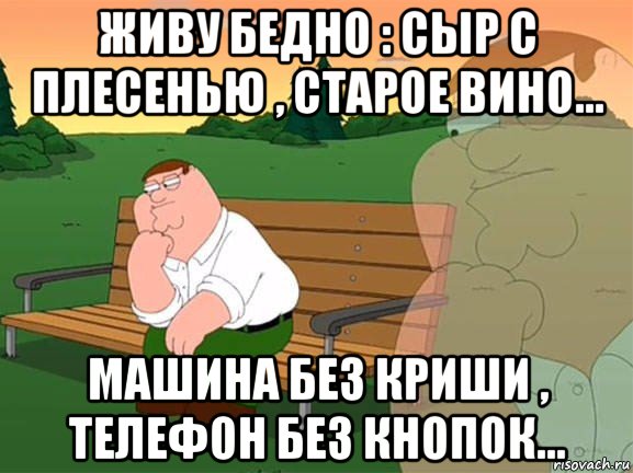 живу бедно : сыр с плесенью , старое вино... машина без криши , телефон без кнопок..., Мем Задумчивый Гриффин