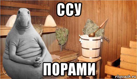 ссу порами