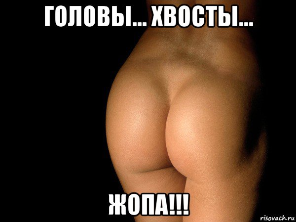 головы... хвосты... жопа!!!