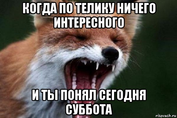 Ничего не интересно. Суббота Мем. Мемы про субботу. Мем суббота дача. Ничего интересного.